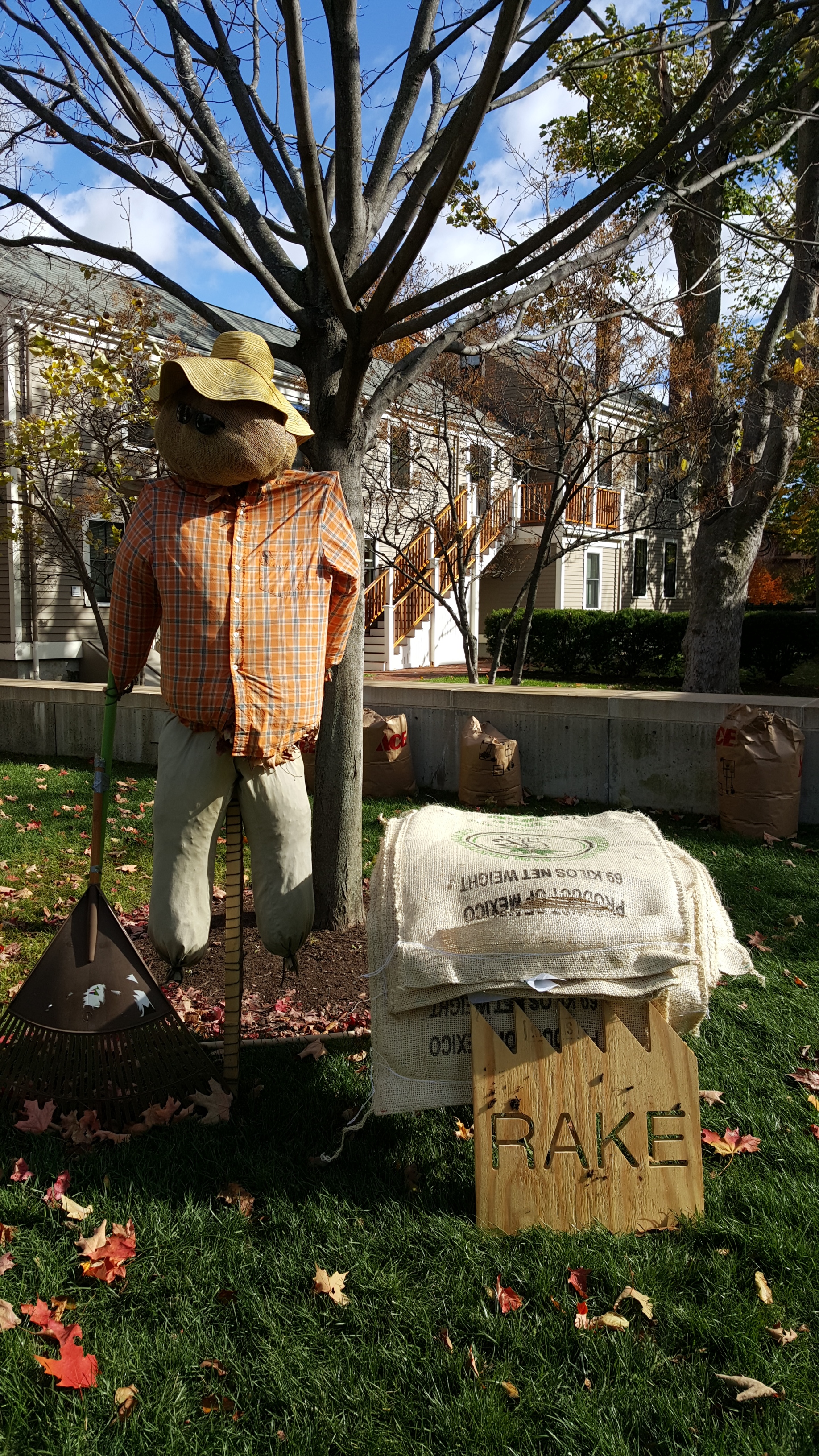 20151030_110907.jpg