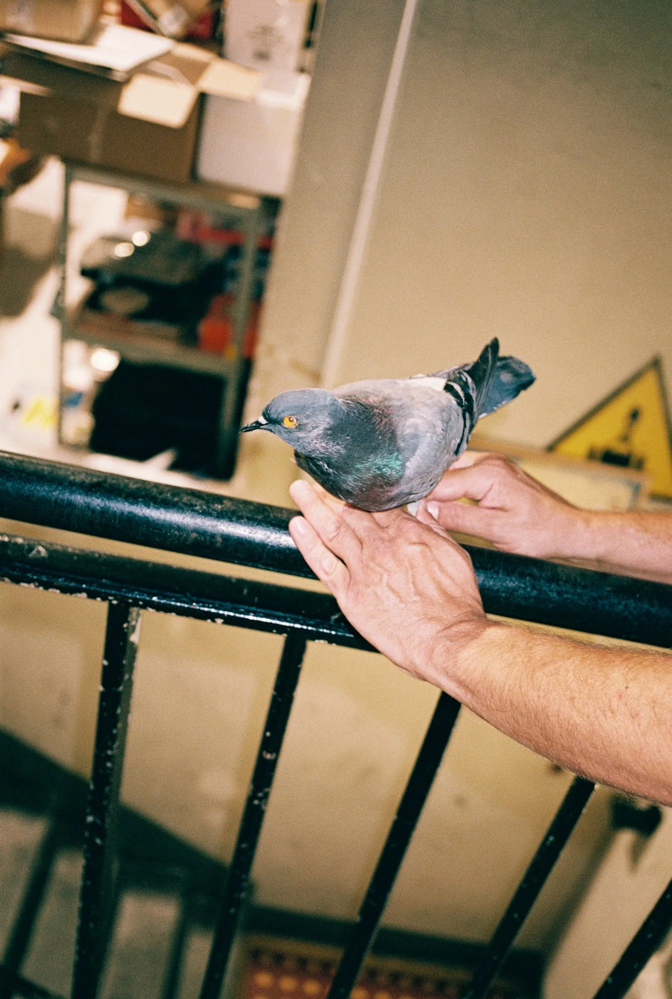 0007210-R1-01-19.jpg