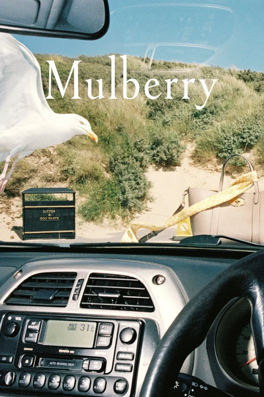 View from inside a car parked near a beach with a seagull on the dashboard, a bag, and a litter box labeled 'LITTER & DOG WASTE' on the sand, with bushes and a sandy hill in the background, and the word 'Mulberry' overlaid.