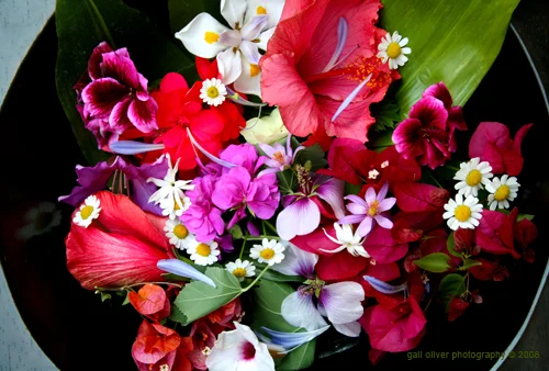 flower bowl salad 101 god.jpg