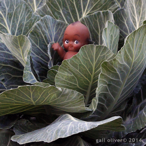 Kewpee in the Collards ss.jpg