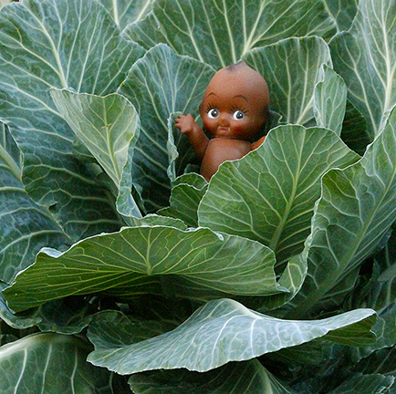 Kewpee in the Collard Patch 20" x 20" Giclee Print