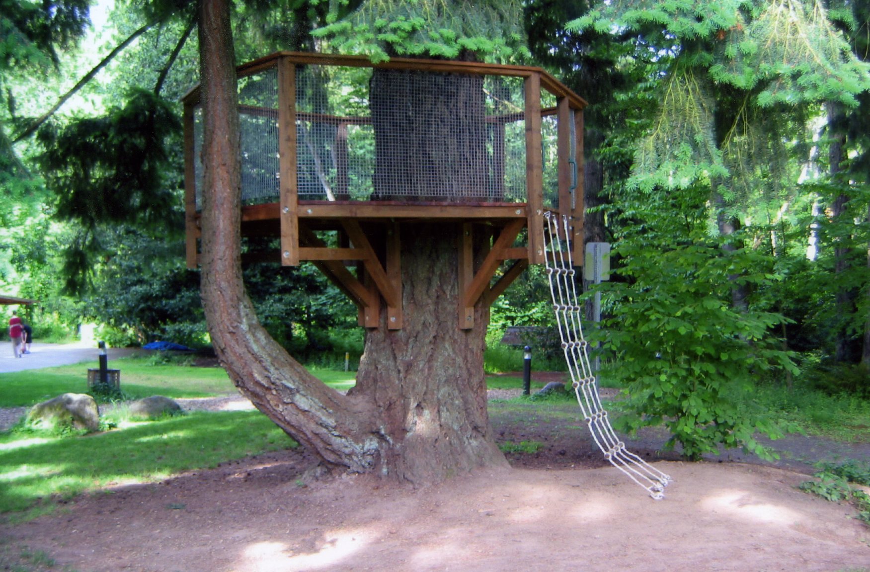 treehouse1.jpg