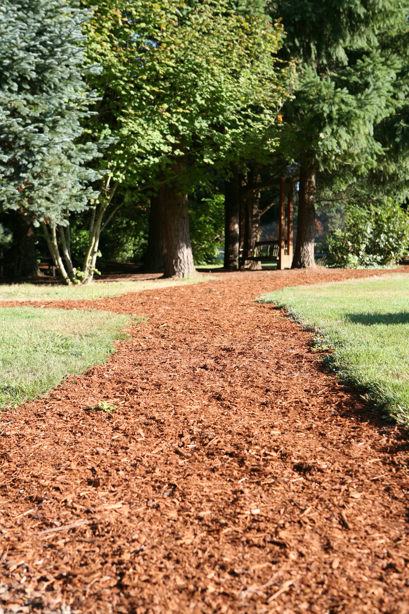 Campus Path 2.jpg