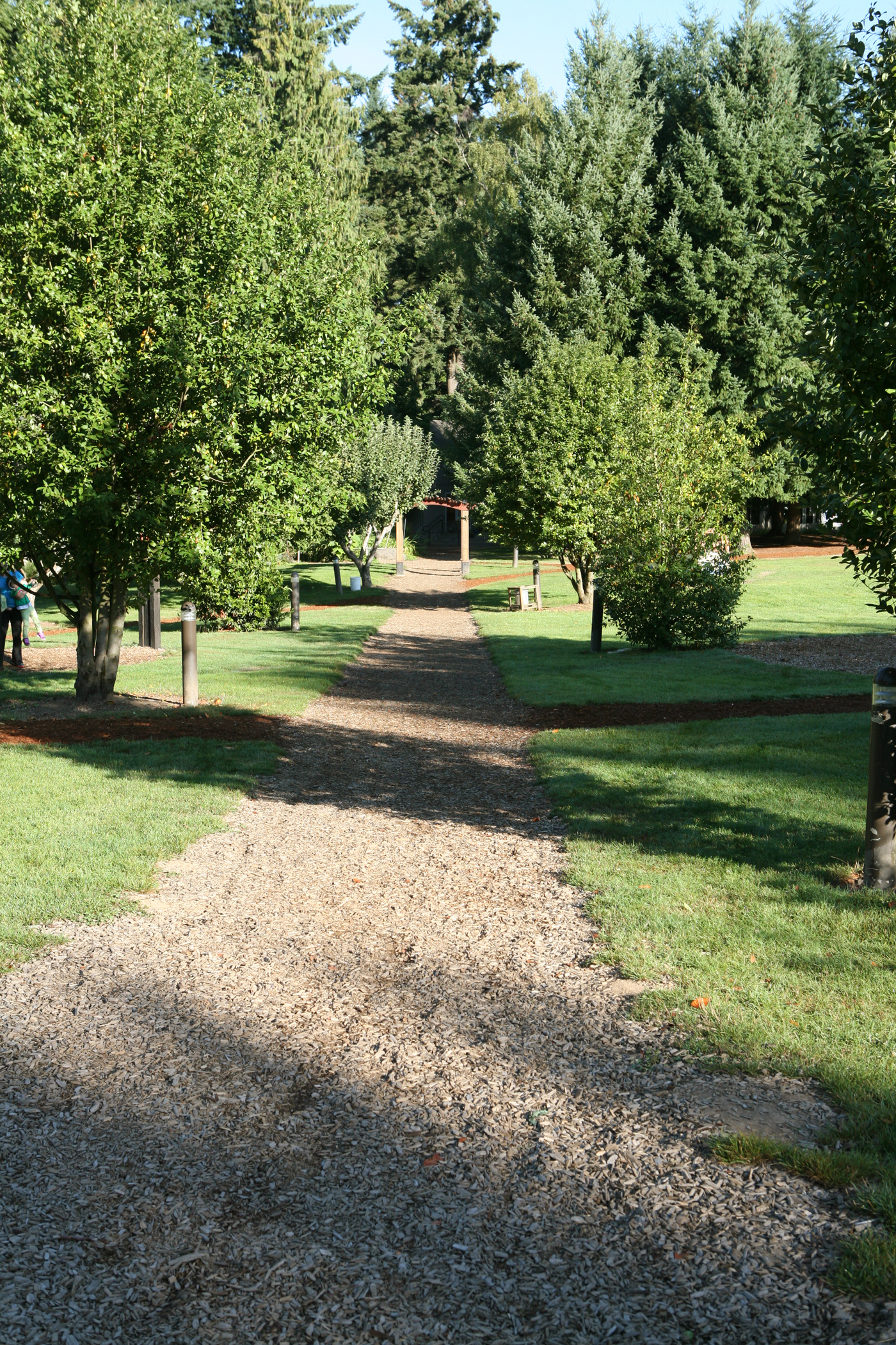 Campus Path.jpg