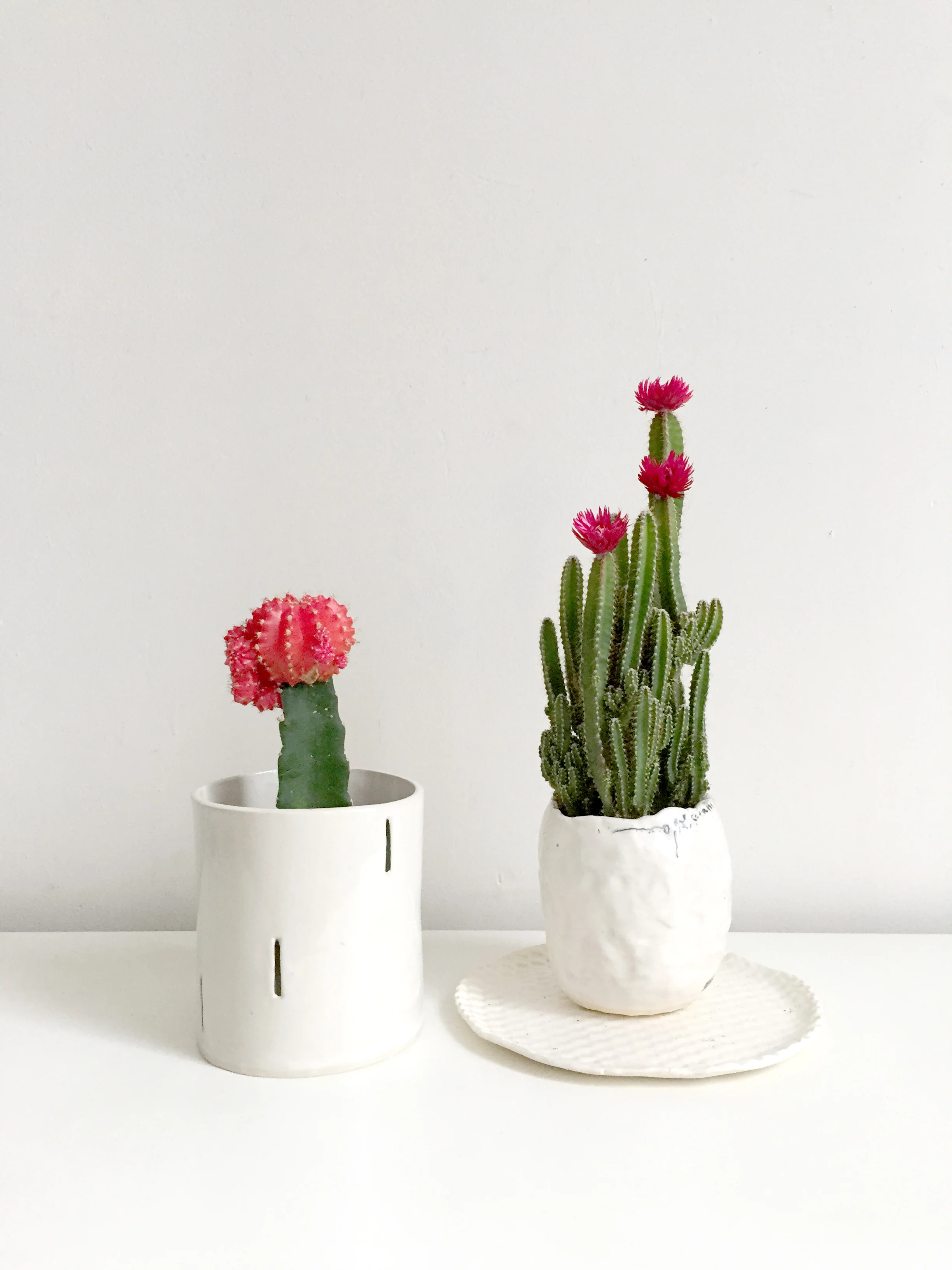 Planters