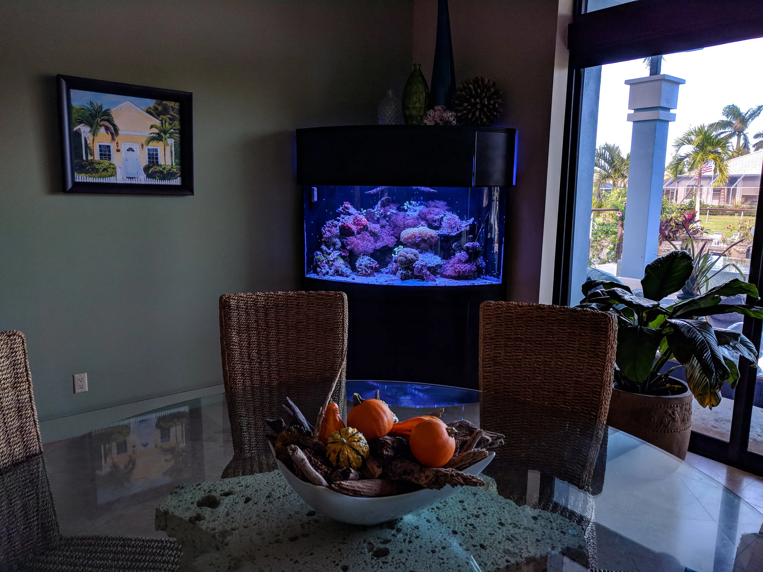 Tank 22-2019.jpg