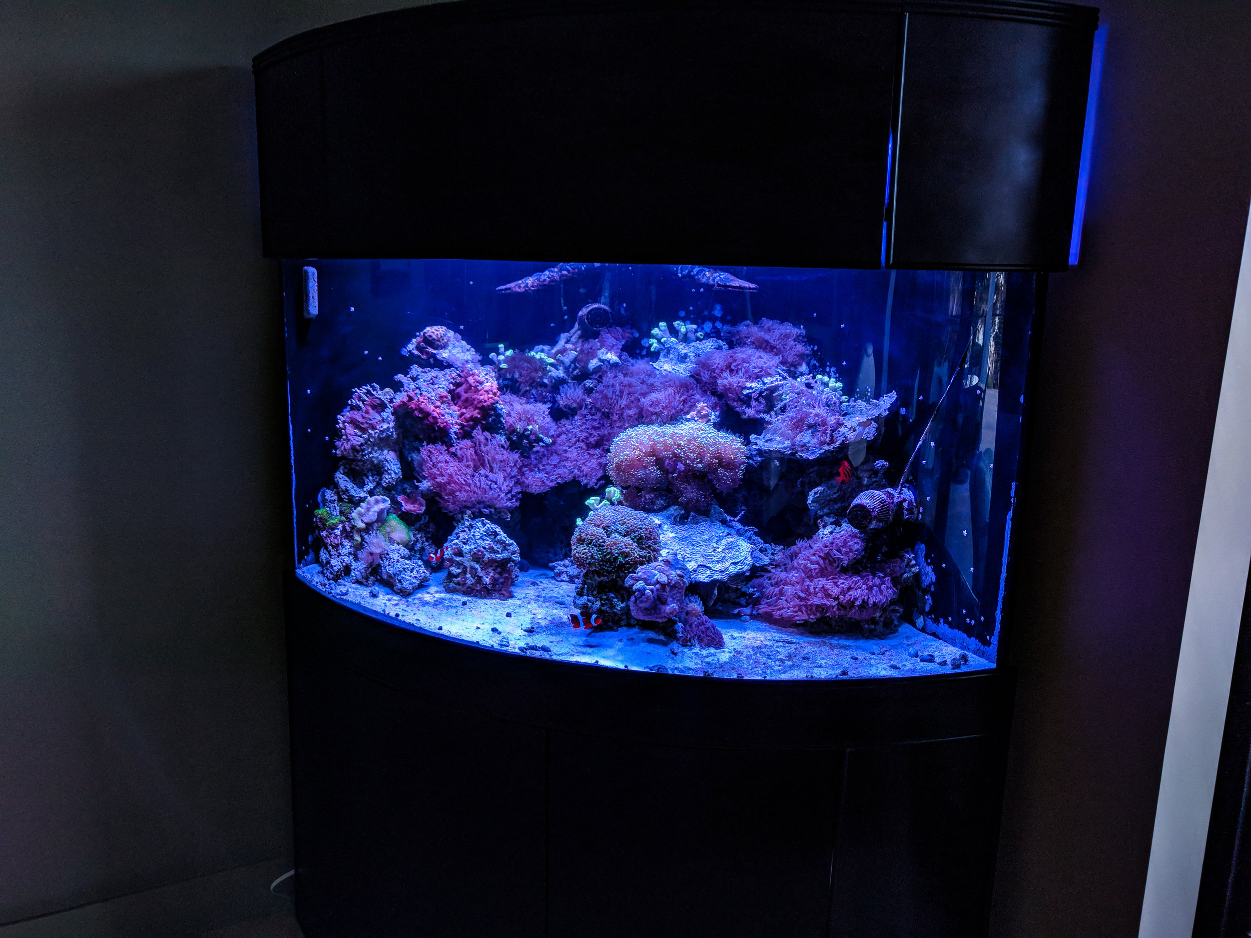 Tank 23-2019.jpg