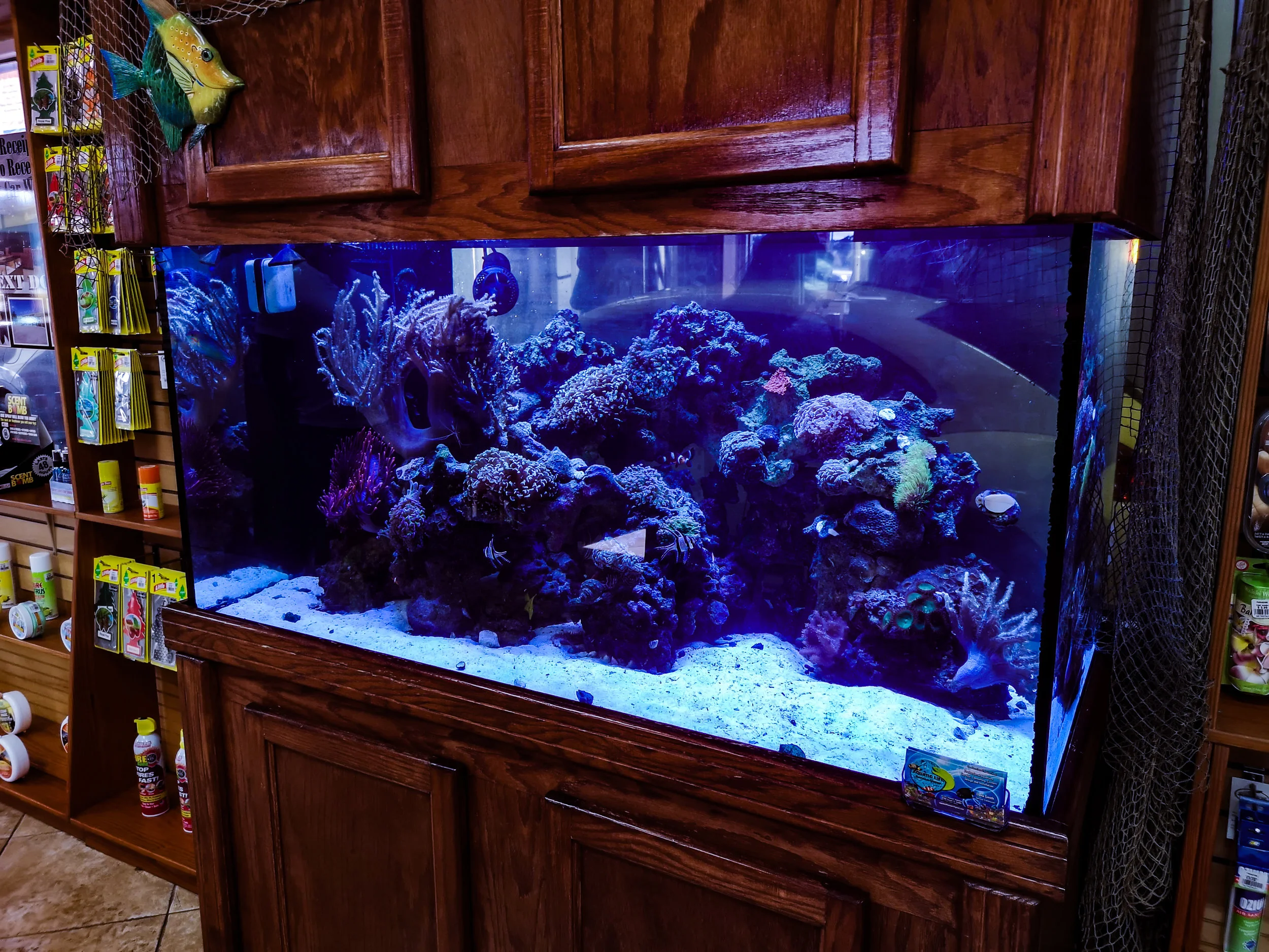 Tank 7-2019.jpg