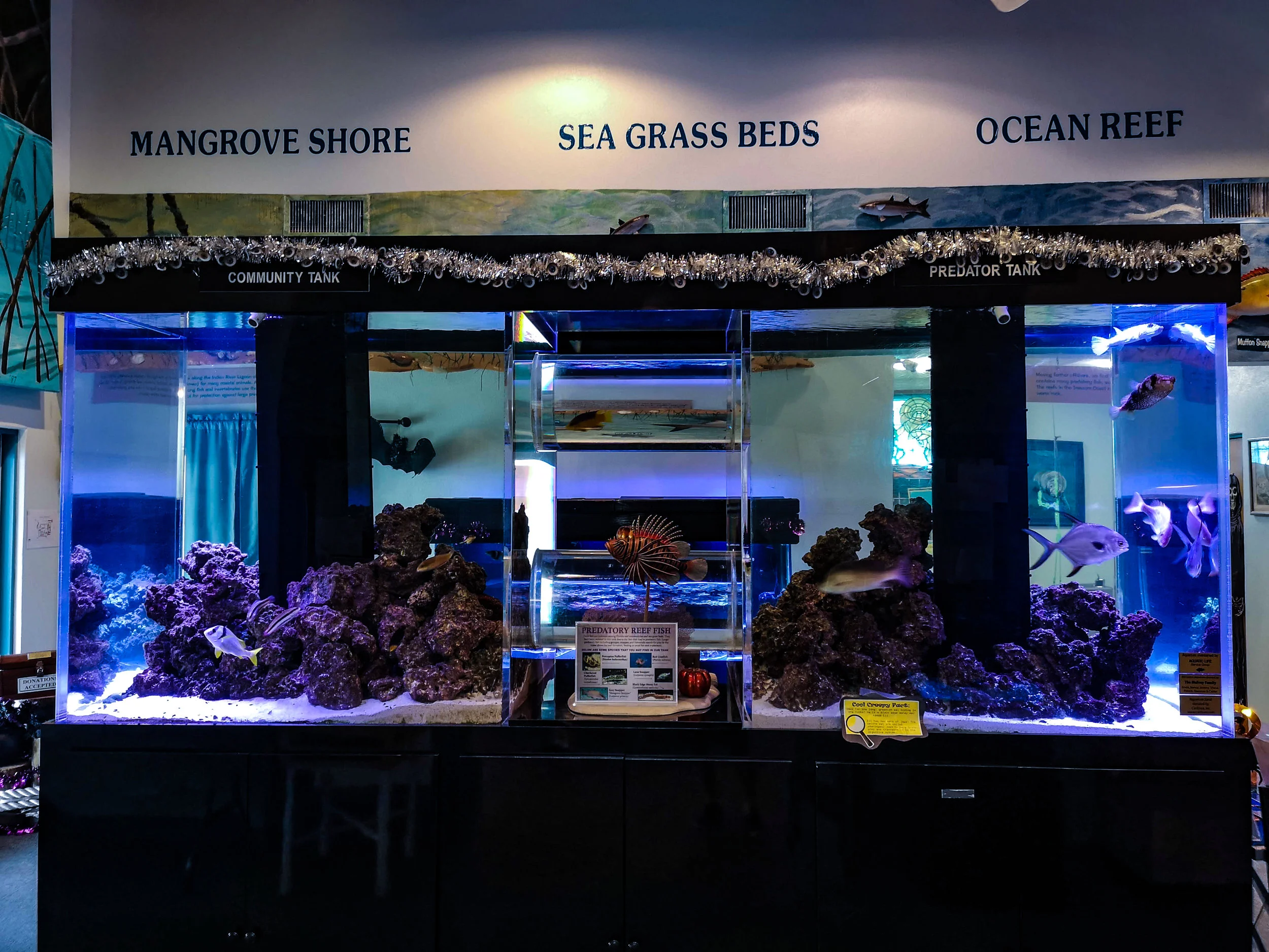 Tank 10-2019.jpg