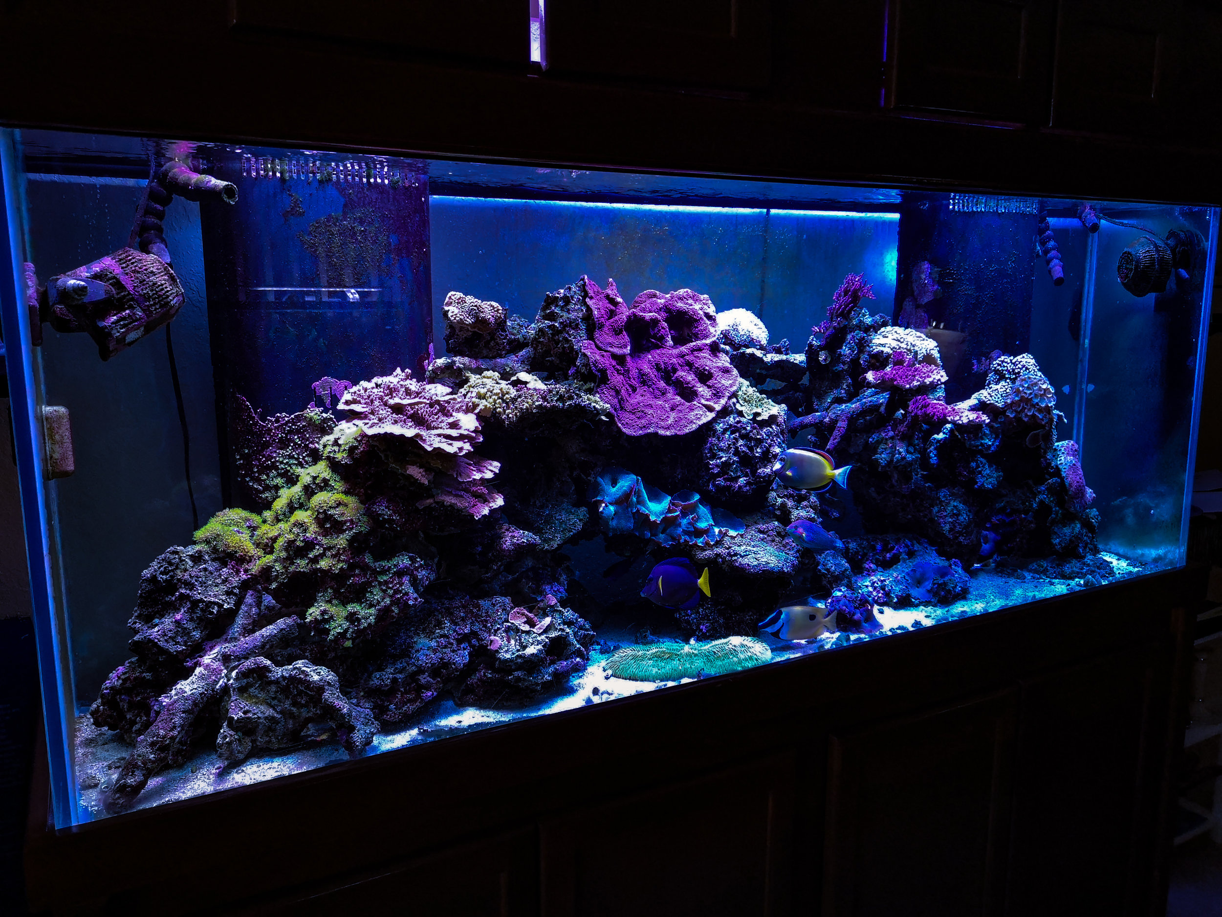 Tank 12-2019.jpg