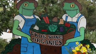 Frog-Song-Organics-2.jpg
