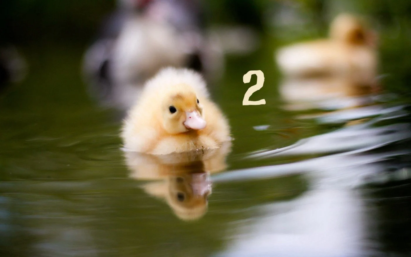 A Love Letter to the Anxiously Attached Part 2