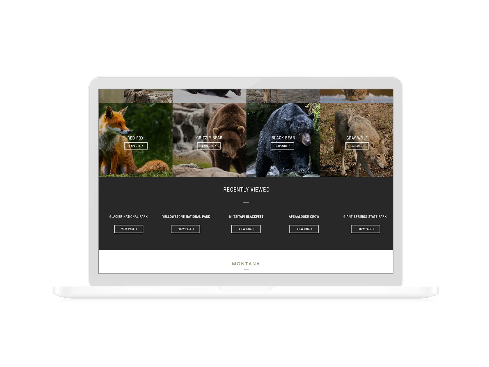 MACBOOK_mt_paws_3.jpg