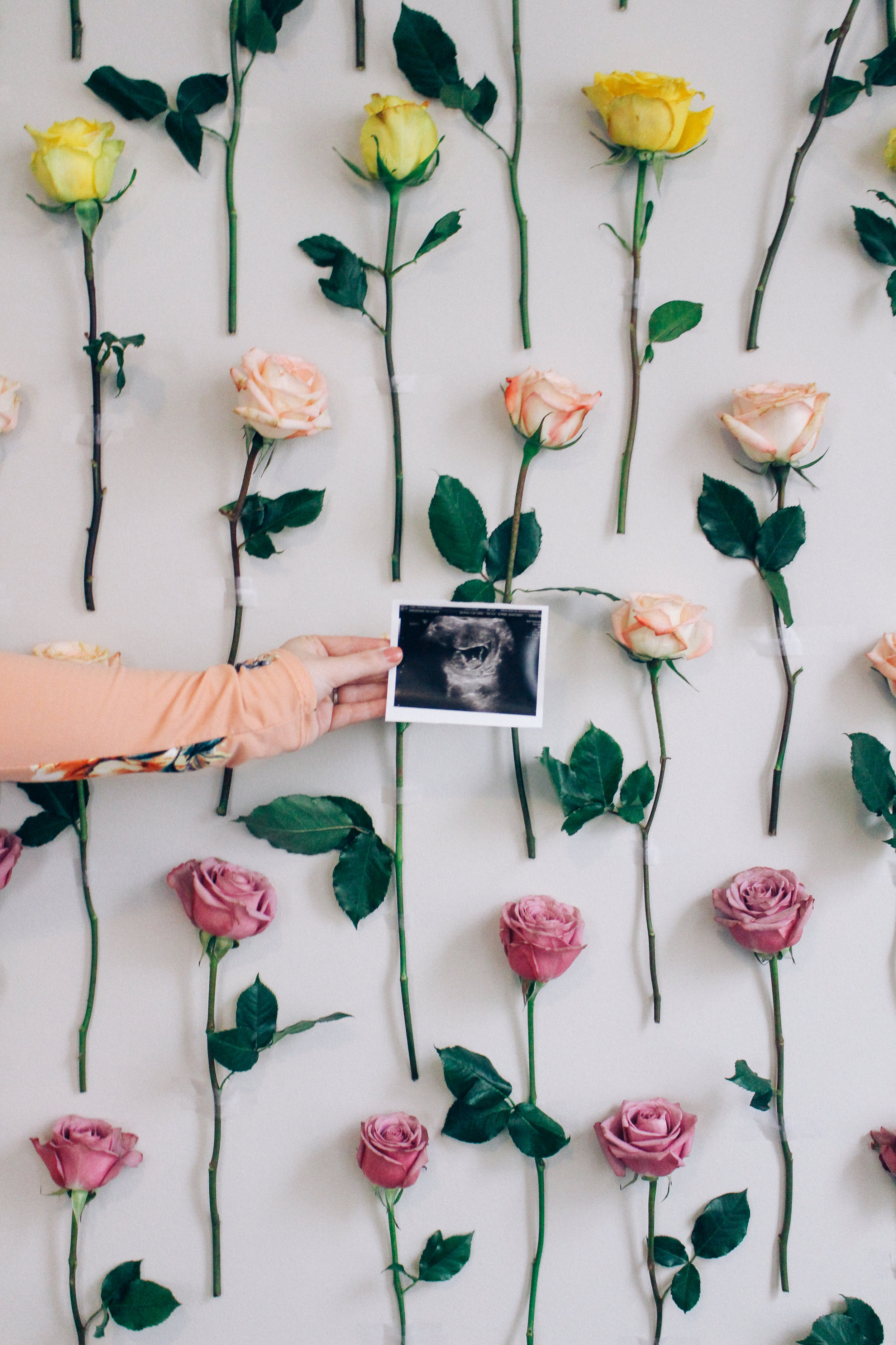 First Trimester Pregnancy Update via Chelcey Tate www.chelceytate.com