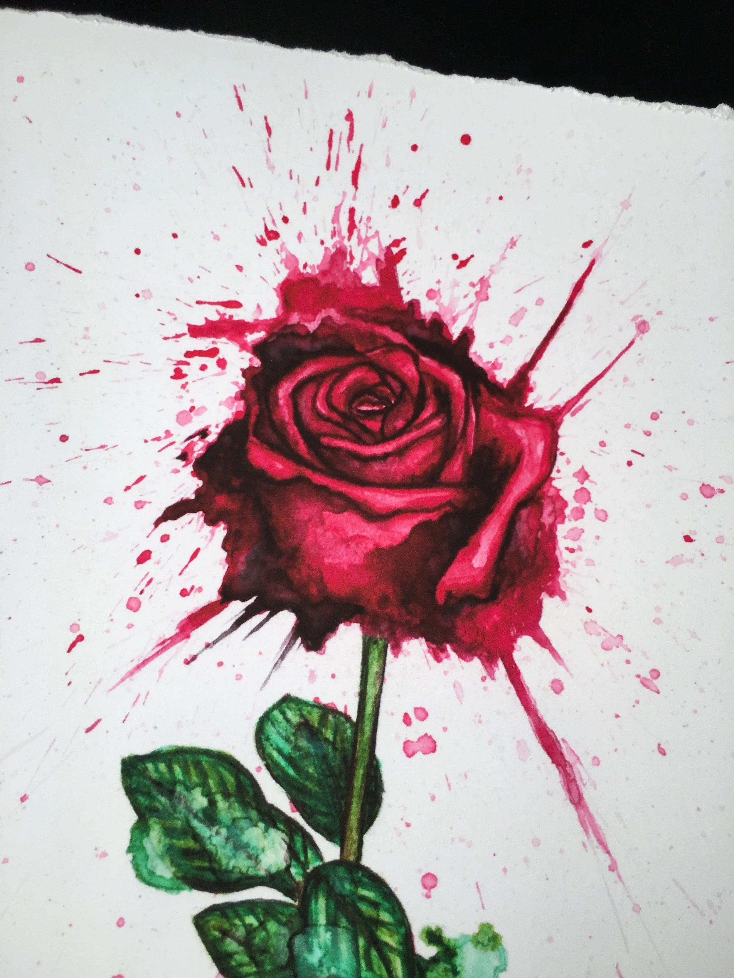 Splatter Roses Shop — Jenna Morello
