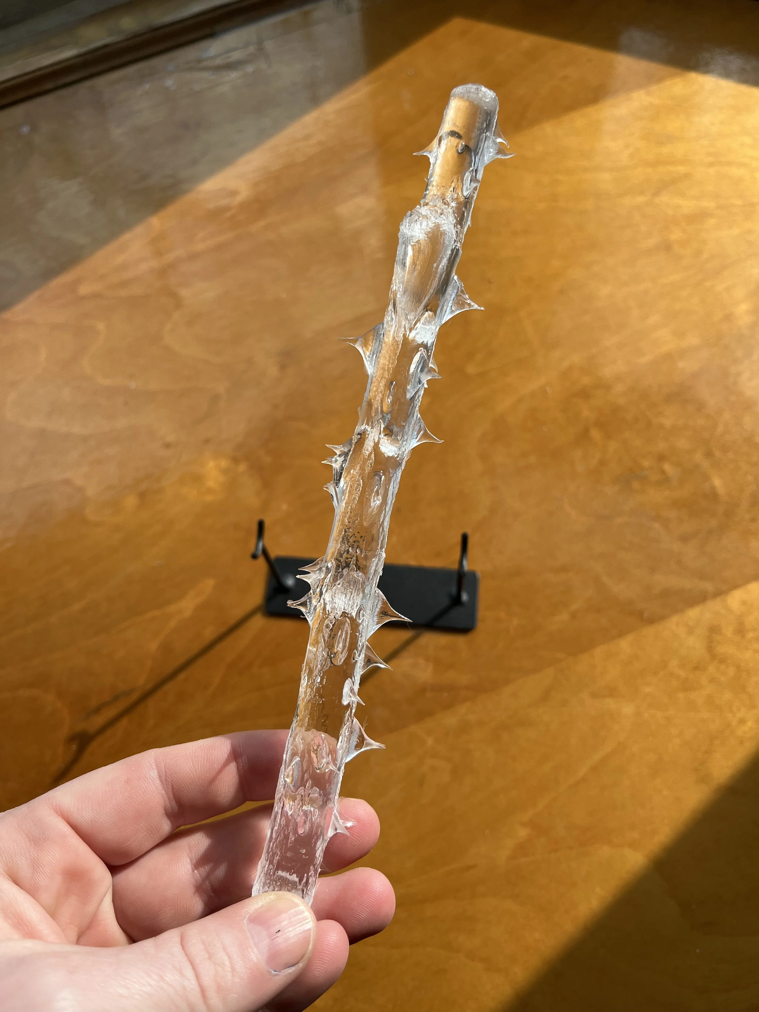 47328CE8-206E-4772-9EB3-F4048382C5BA.jpeg