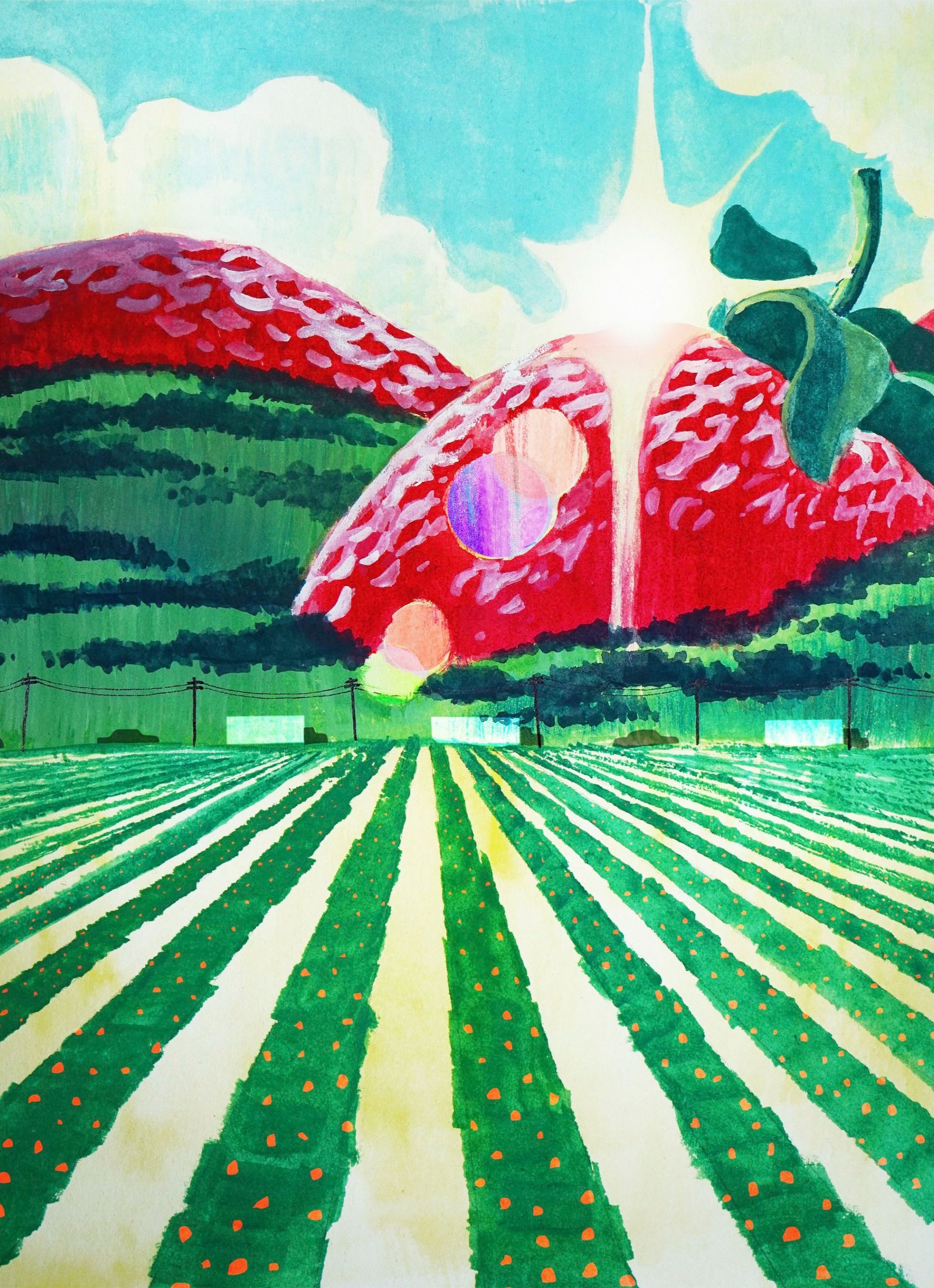 Strawberry Fields, 2021