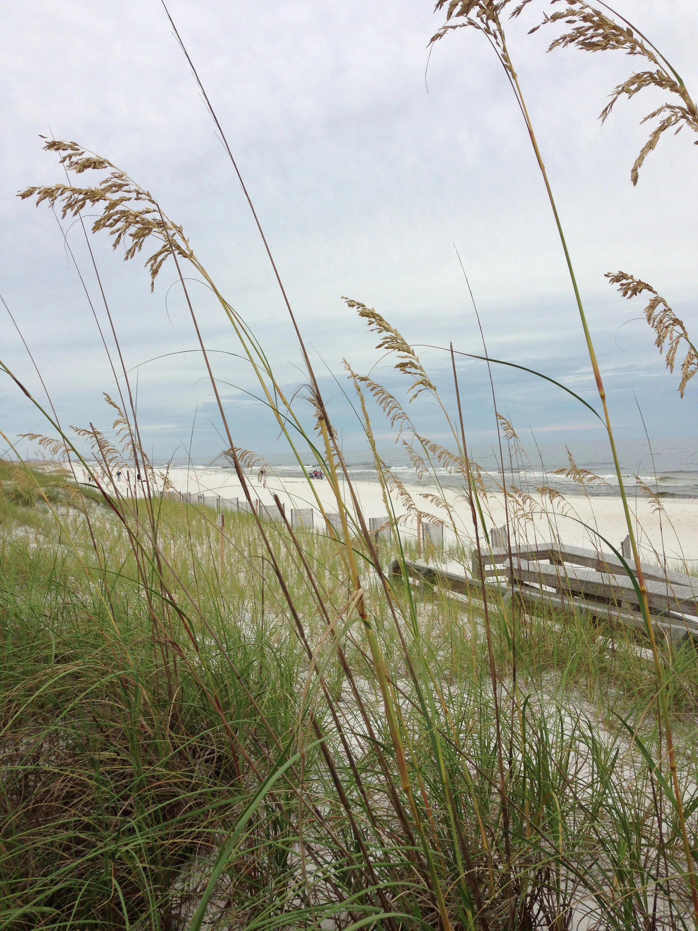 2013-08-24 17.56.07.jpg