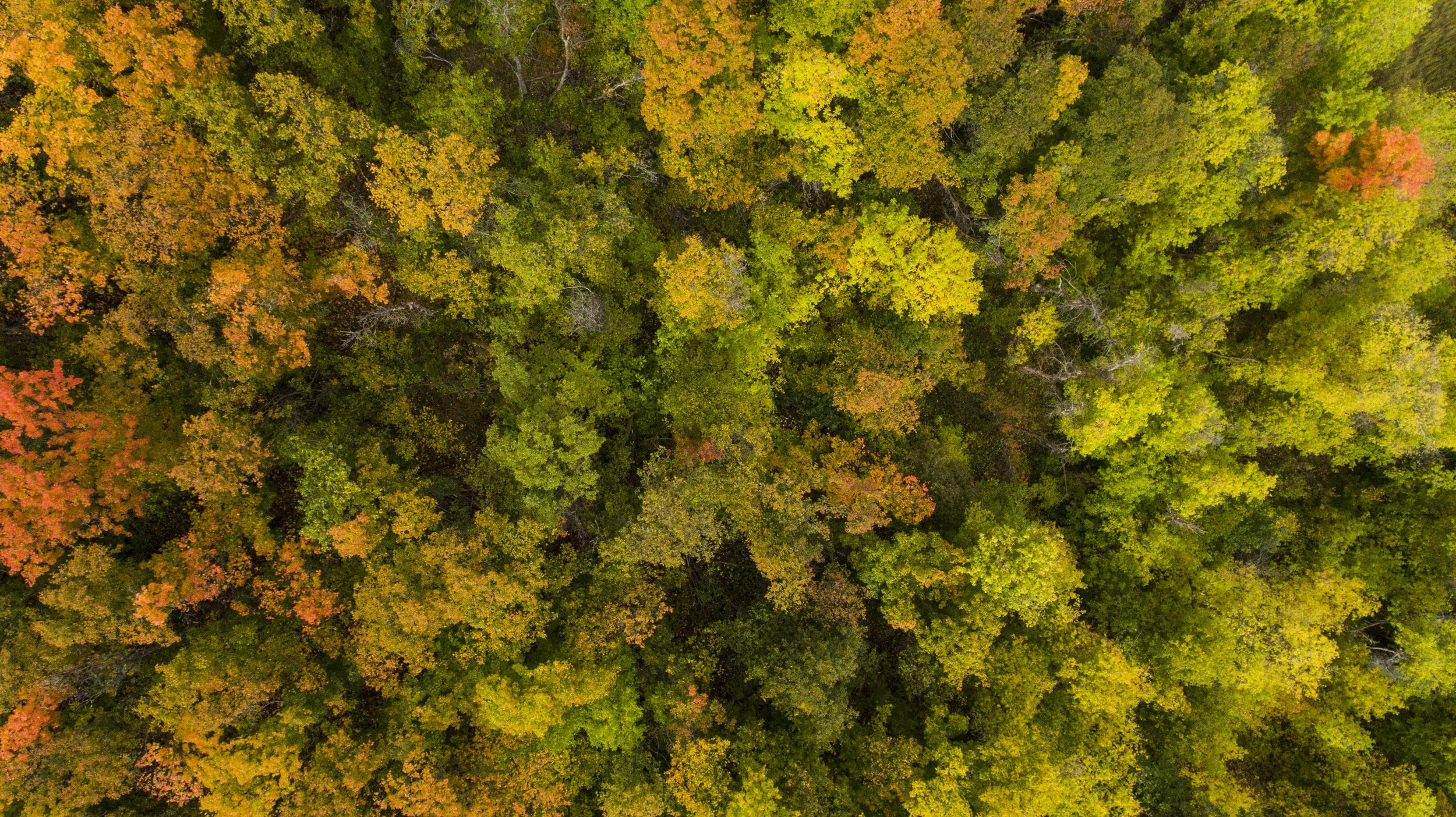 DJI_0140.jpg