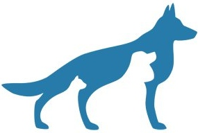 cropped-nsc-2.png