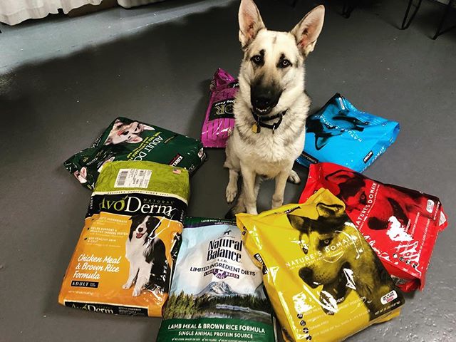 Thanks again to everyone who supported Nikeno's Second Chances through the Lighthearted supply drive we held this April! We've got some pretty happy pups as a result! @visual_interest 
Nikeno's Second Chances is the 2019 Lighthearted Beneficiary - Ni