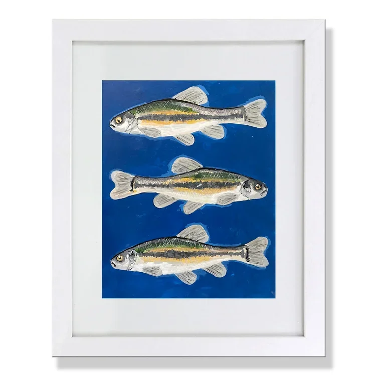 Fish+Framed.webp