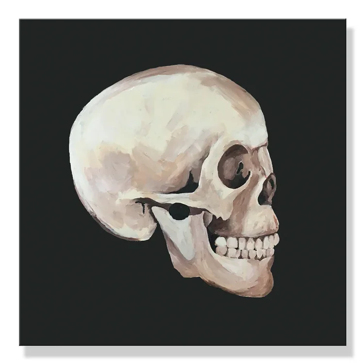 Skull.webp