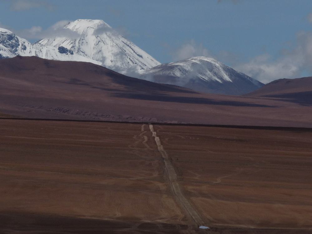 Awasi-Atacama-(65).png