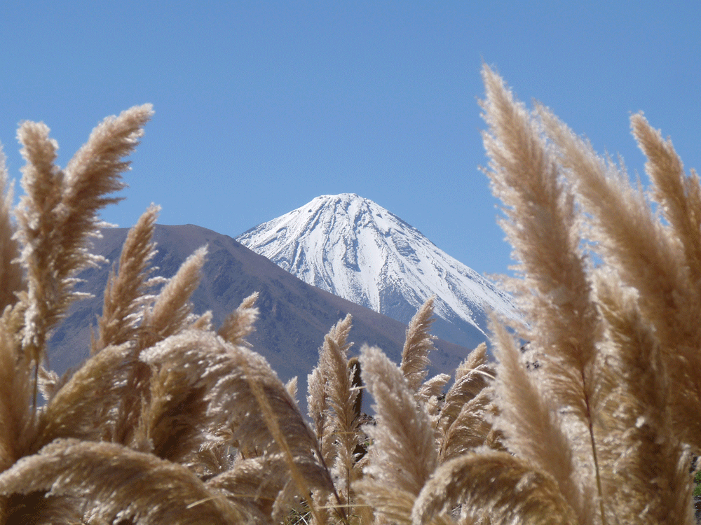 Awasi-Atacama-(70).png