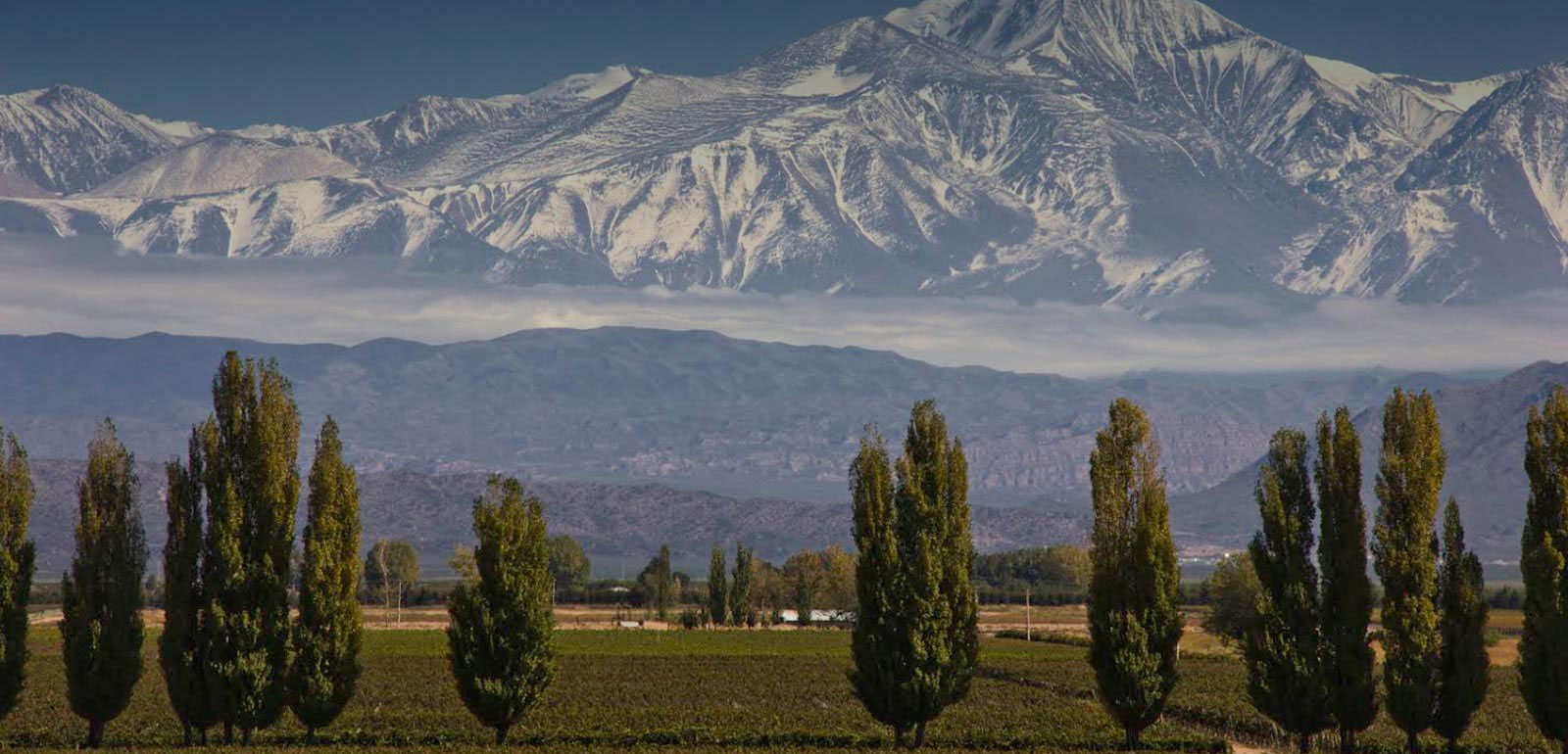 mendoza-banner2.jpg
