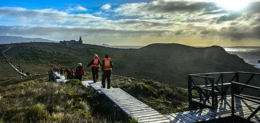 Fascinating shore excursions