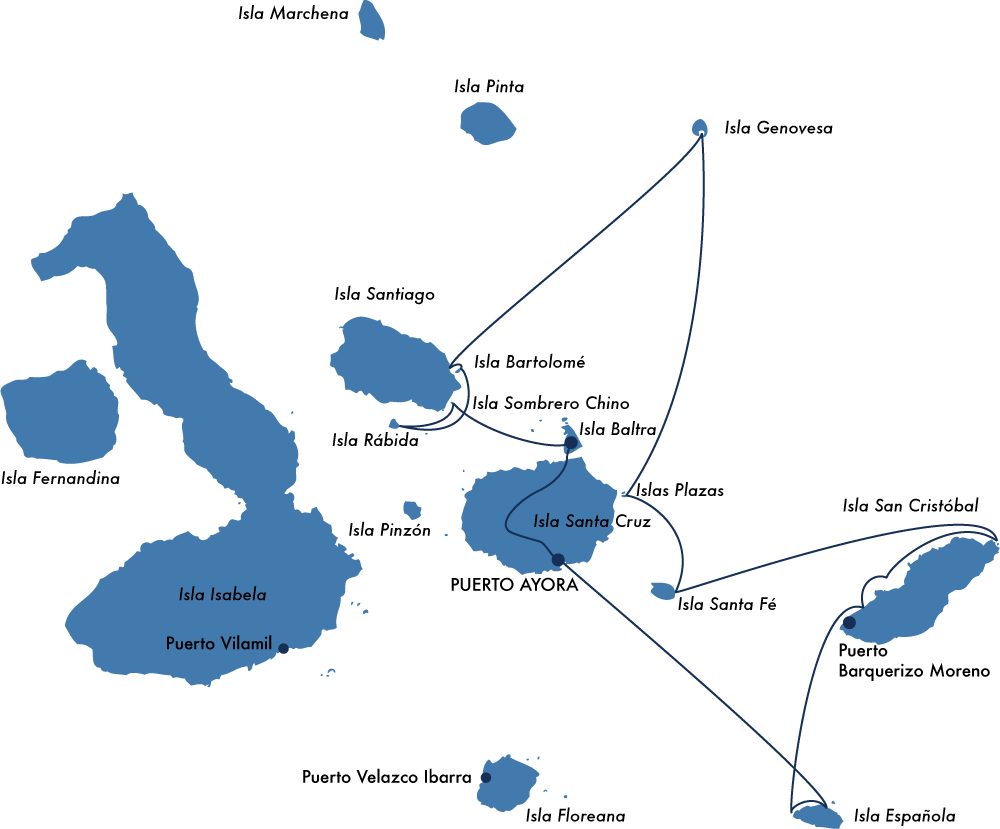 Click to enlarge