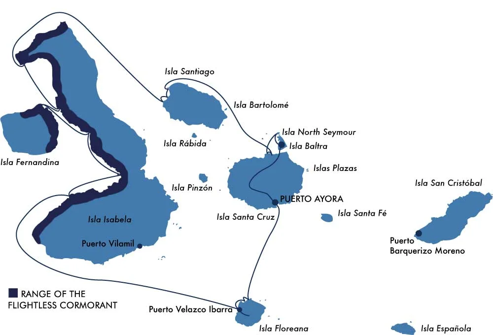 Range of the flightless cormorant