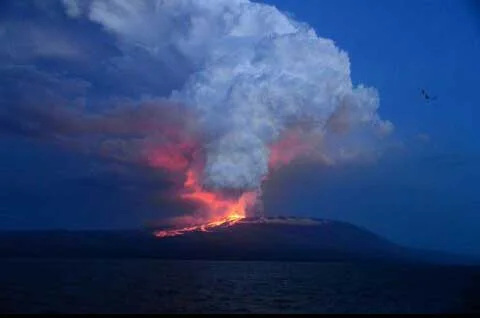 Galapagos Update: Wolf Volcano erupts after 33 years