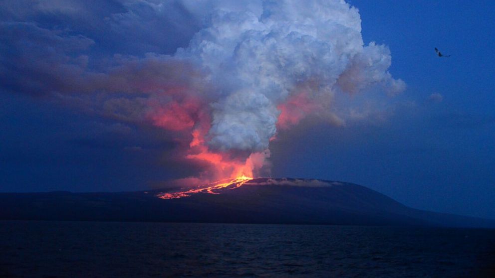 Wolf Volcano erupting. Photo: Diego Paredes