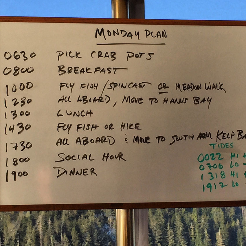 Today is going to be a busy day!