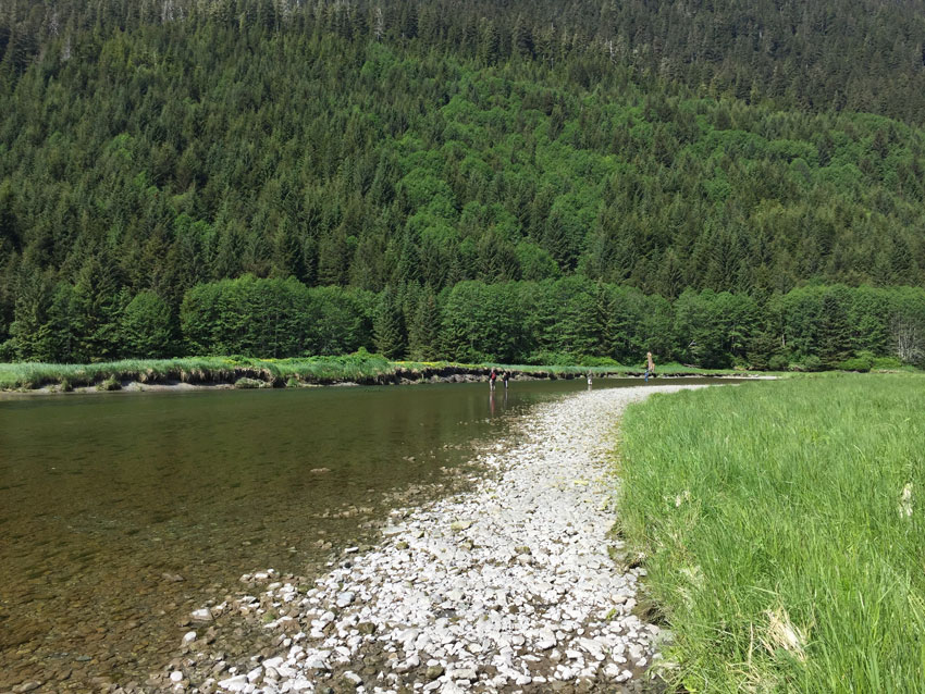 Fishing in Paradise Flats, Saook Bay