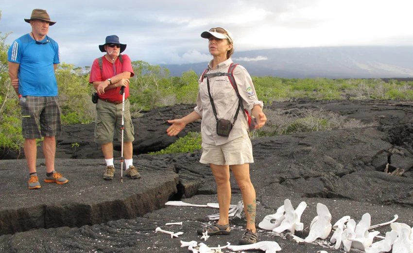 Extensive shore explorations with expert naturalist guides