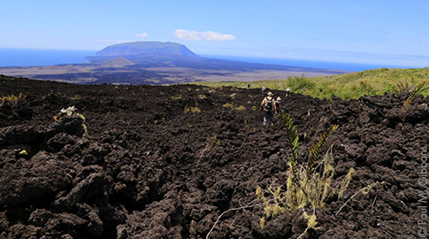 Wolf Volcano. Photo: Galapagos Conservancy