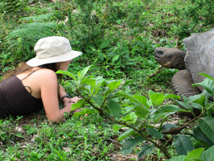 Less than 24 hours from leaving home, you're face to face with a giant tortoise. Photo: Bill Roberson