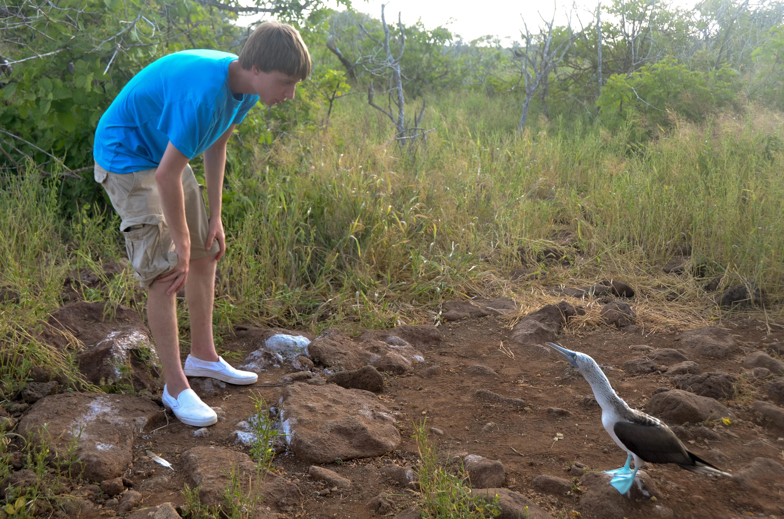 Priceless face to face encounter between guest and blue-footed Booby. Photo: Marika Roberson