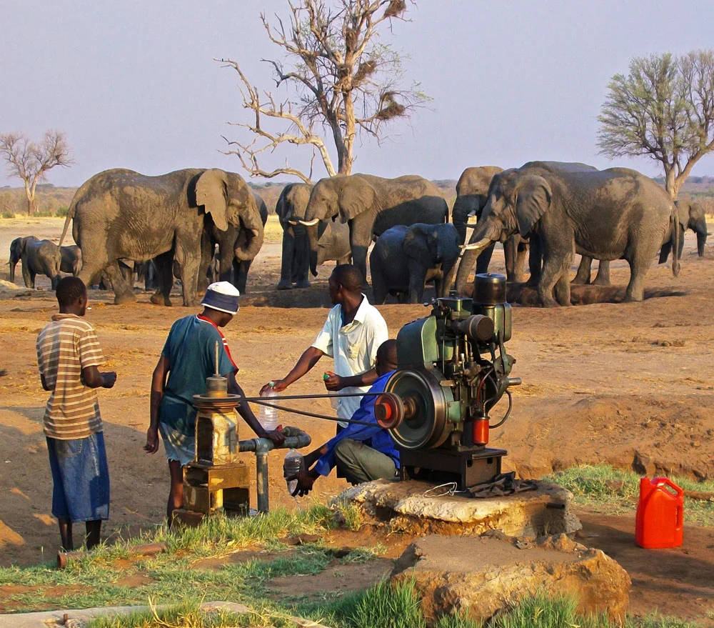 Elephants at water hole supplied by borehole