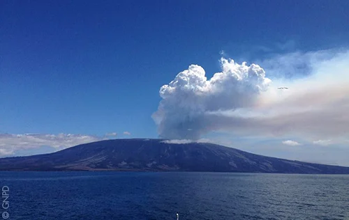 La Cumbre, Fernandina. Photo © Galapagos National Park