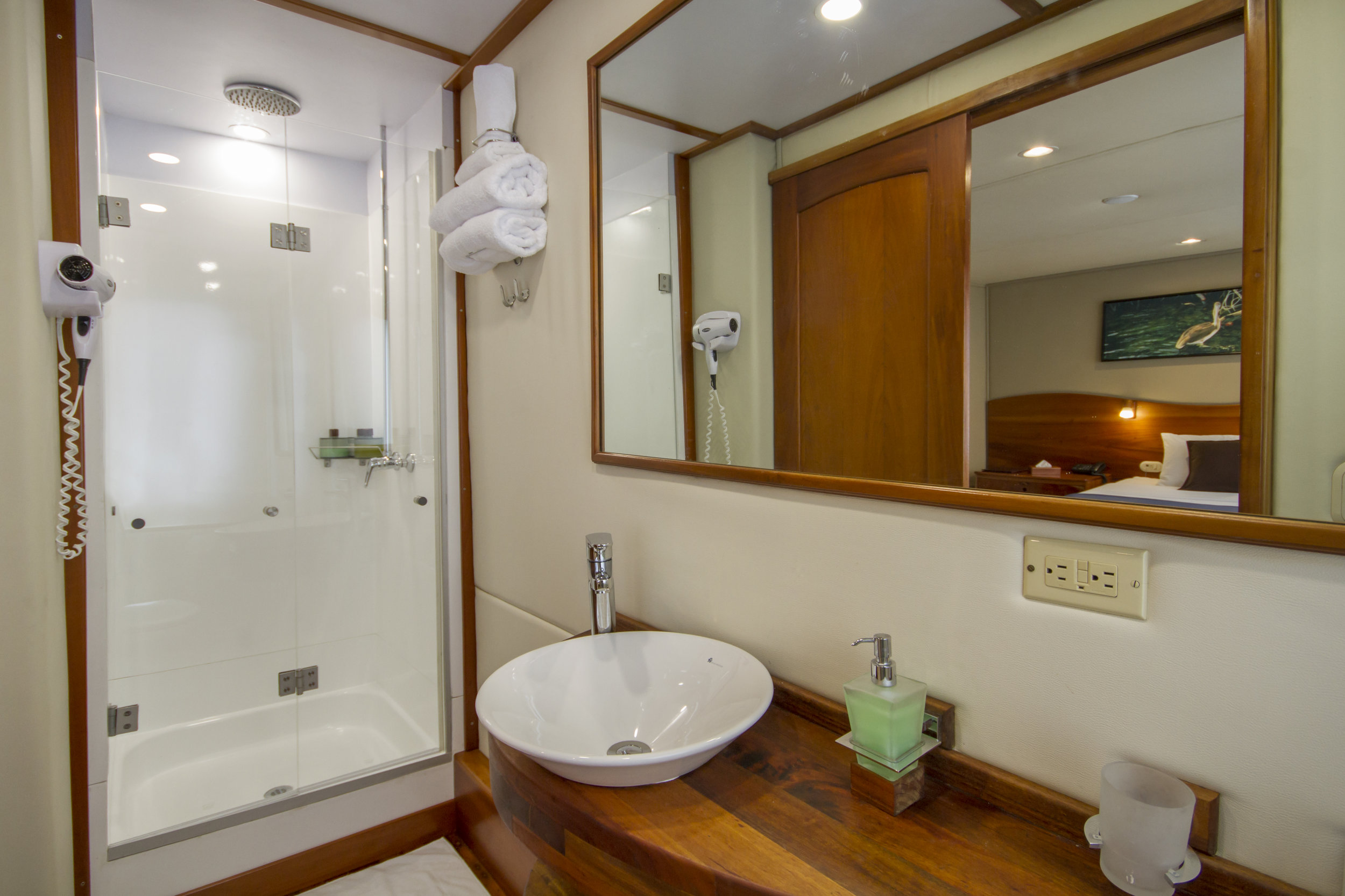 Stateroom standard bathroom.jpg