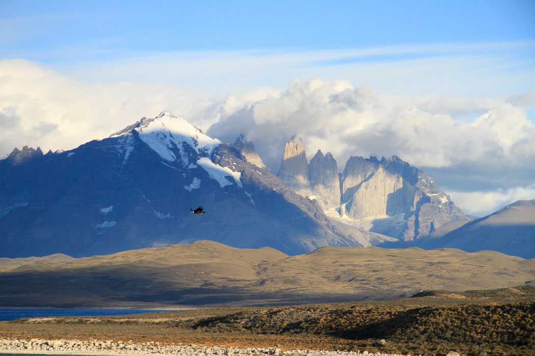condor_torresdelpaine_aabonyi.jpg