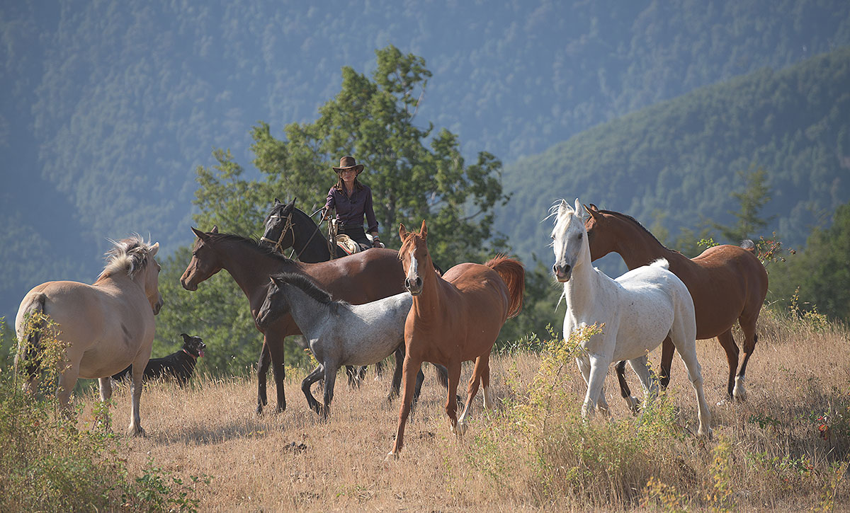 Horseback riding