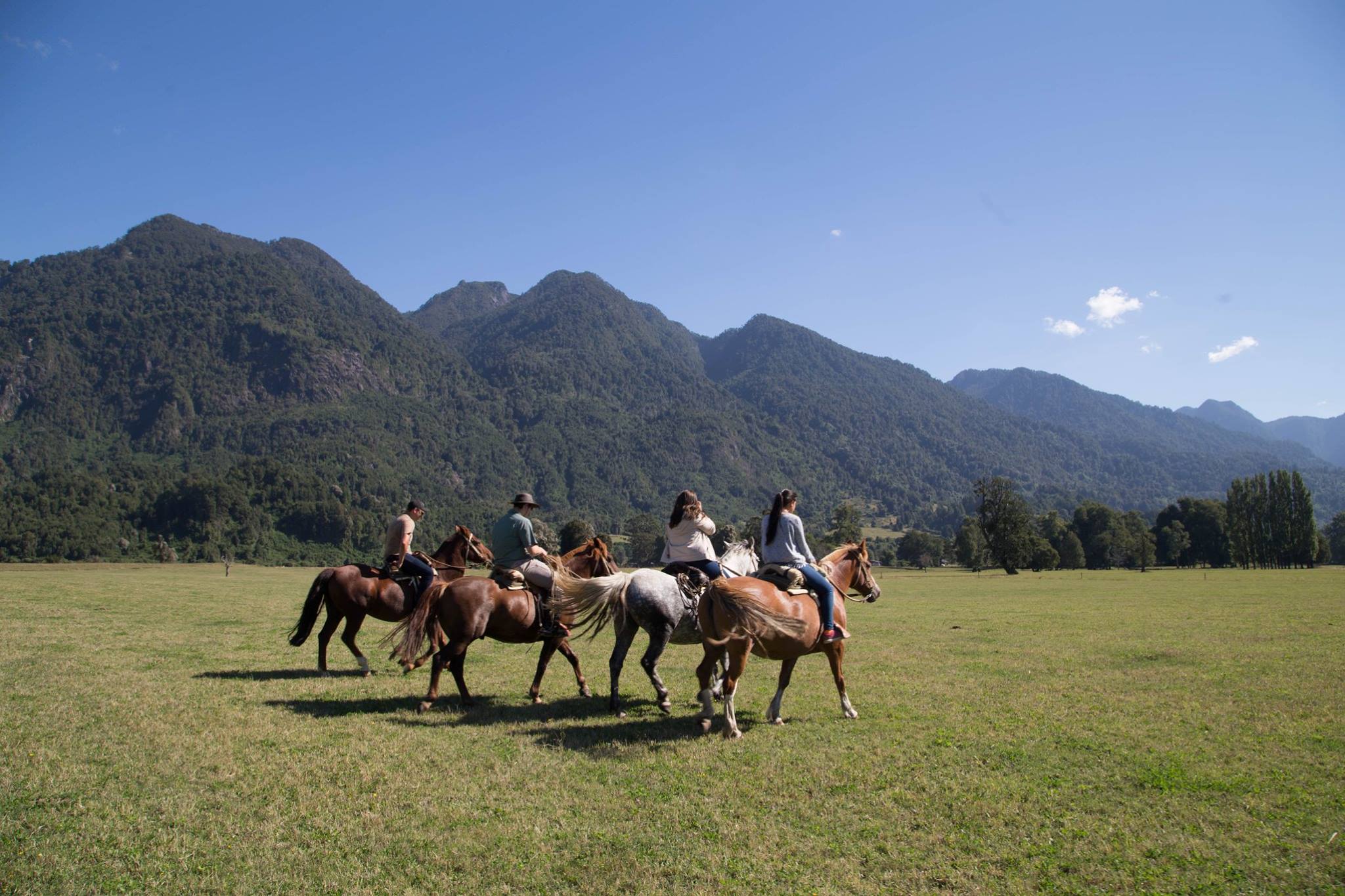 Horseback riding