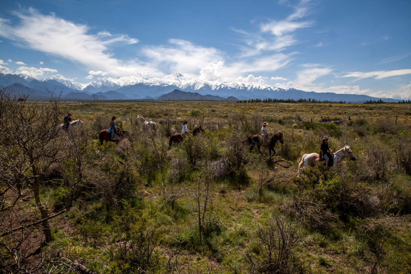 1_Todos_a_caballo_ALTA_WEB.jpg