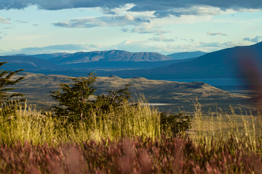 Landscapes-Awasi-Patagonia-(8).png